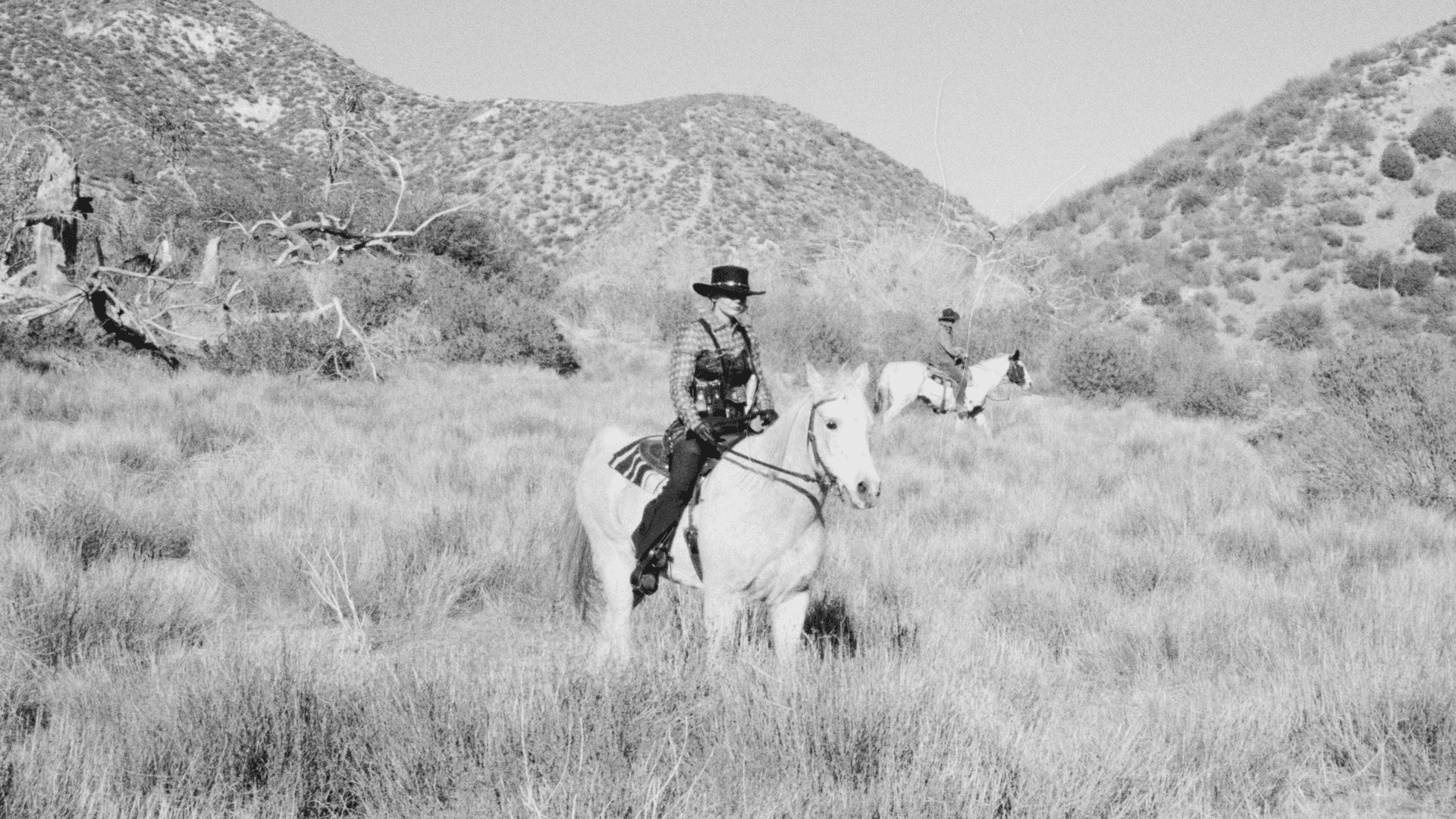 woman on white horse in foreground